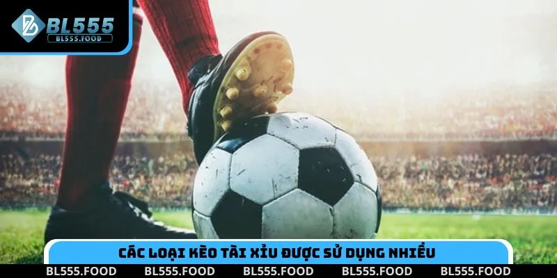 Chơi Kèo Tài Xỉu Và Lựa Chọn Cực Dễ Qua Mẹo Hay Từ BL555 - Slotnora69