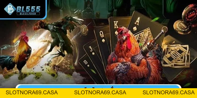 Đá Gà - BL555 - Slotnora69