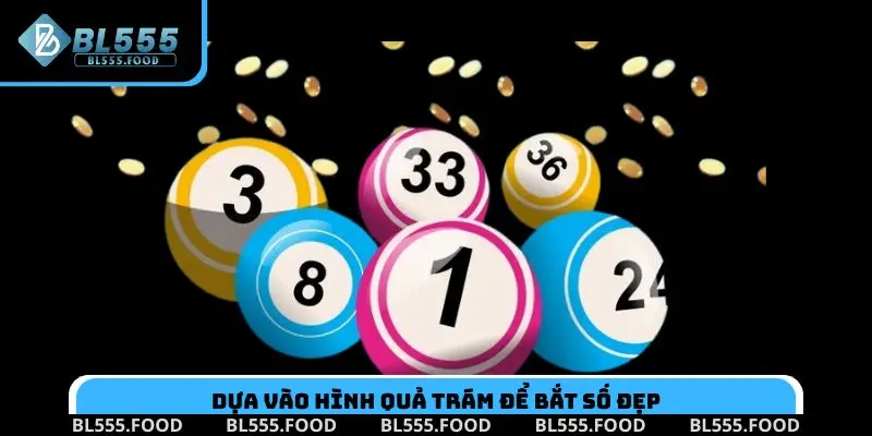 Bạch Thủ Lô Là Gì? Tìm Hiểu Cách Dự Đoán Số Hiệu Quả - Slotnora69