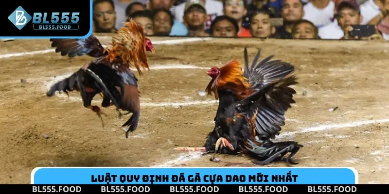 Đá Gà Cựa Dao: Cách Chơi & Kinh Nghiệm Đầu Tư Hiệu Quả - Slotnora69